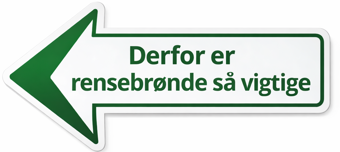 Skilt: Derfor er rensebrønde så vigtige for et omfangsdræn